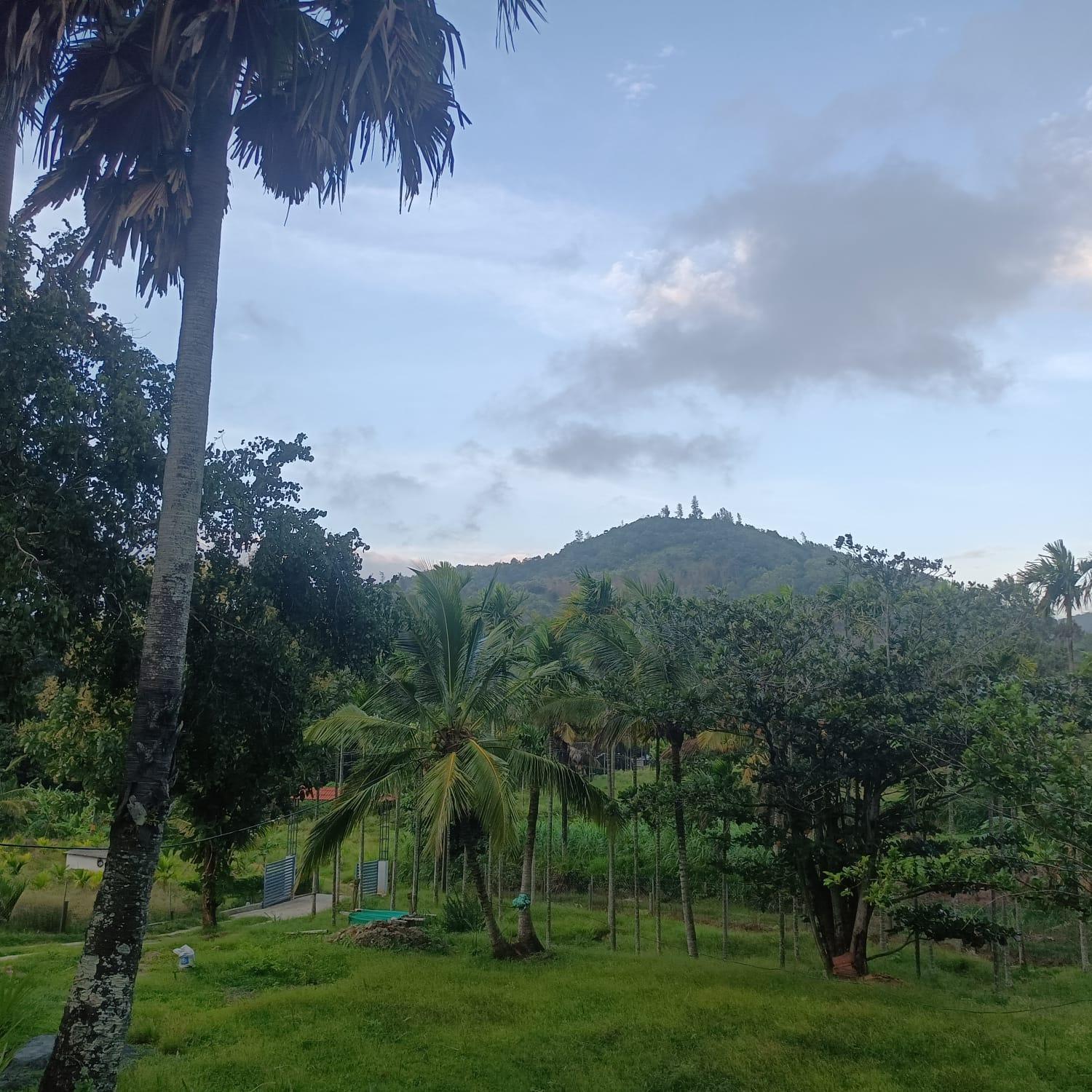 Padavayal Greens Attappādi المظهر الخارجي الصورة