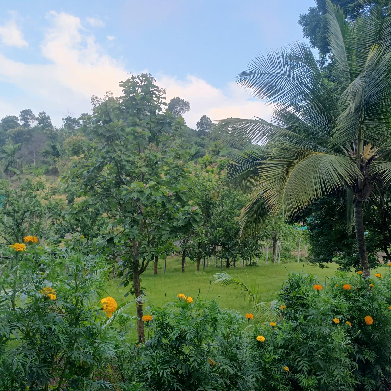 Padavayal Greens Attappādi المظهر الخارجي الصورة